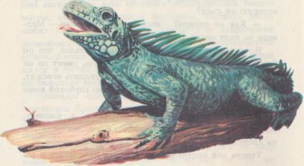 Рассказы о зоопарке - i_026.jpg