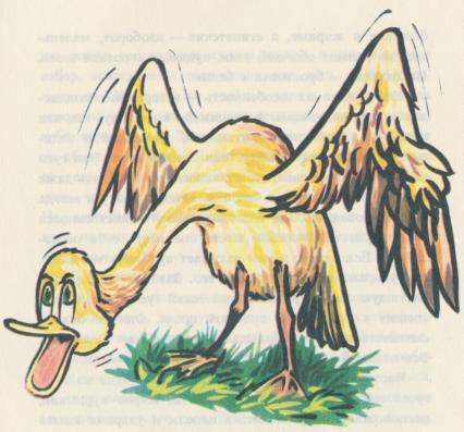 Рассказы о зоопарке - i_027.jpg