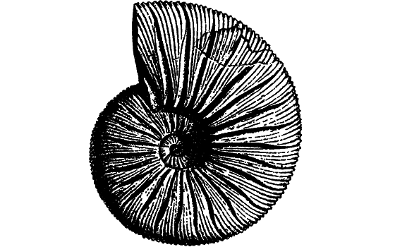 Гомункулус - i_119.png