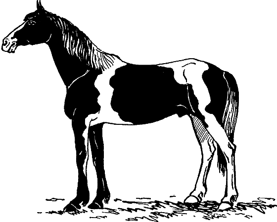 Гомункулус - i_122.png