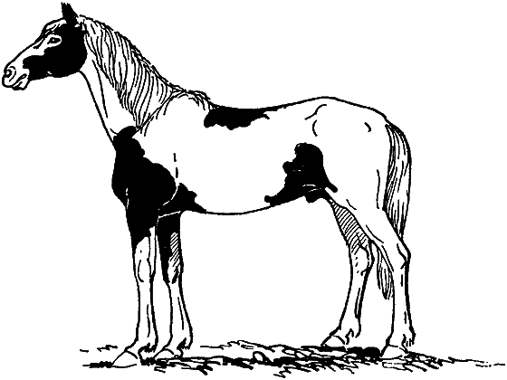 Гомункулус - i_123.png