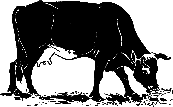 Гомункулус - i_124.png