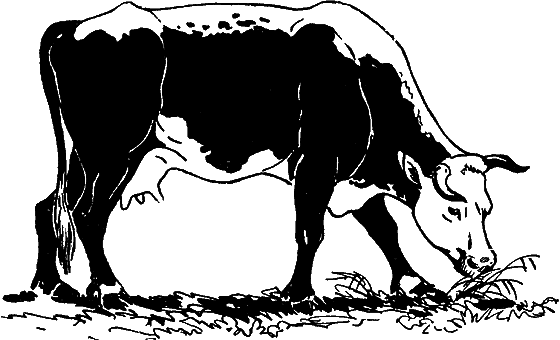 Гомункулус - i_125.png