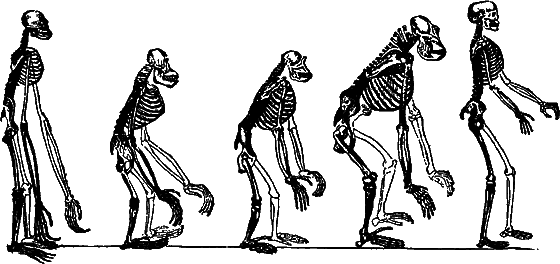 Гомункулус - i_153.png