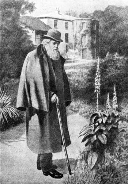 Гомункулус - i_154.jpg