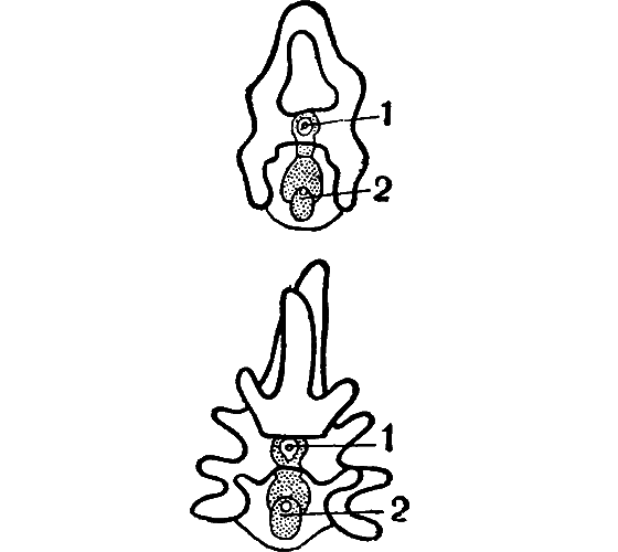 Гомункулус - i_230.png