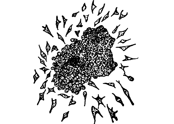 Гомункулус - i_231.png