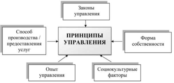 Теория менеджмента - b00000268.jpg