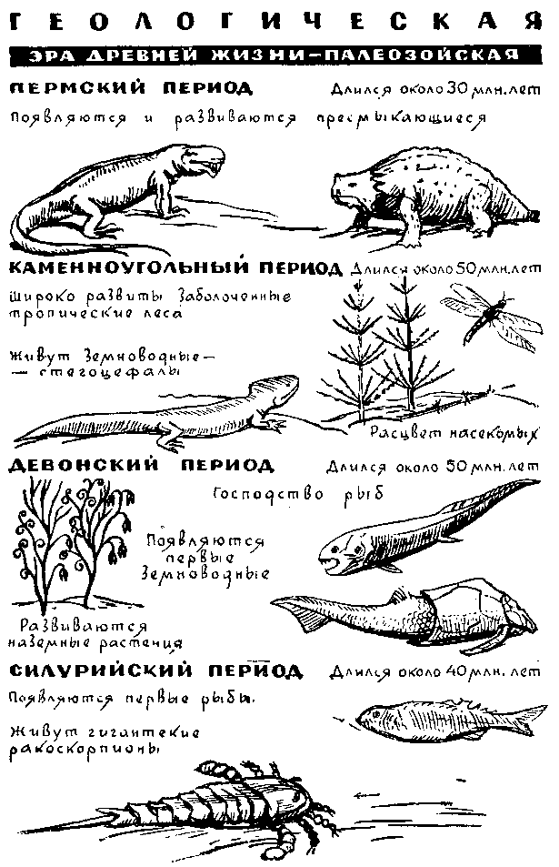 По страницам каменных летописей - i_028.png