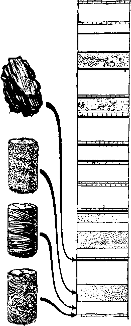 По страницам каменных летописей - i_044.png