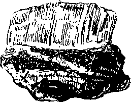 По страницам каменных летописей - i_054.png