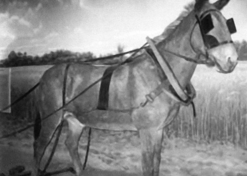 Вашингтон - i_052.jpg