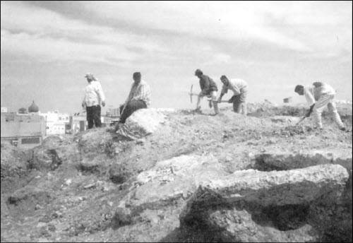 Генезис цивилизации. Откуда мы произошли... - i_100.jpg