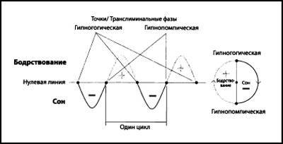 Излучающие свет. Тайные правители мира - i_003.jpg