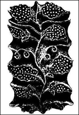 Индия в зеркале веков - i_041.jpg