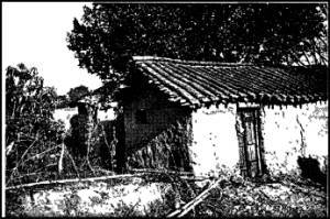 Индия в зеркале веков - i_065.jpg