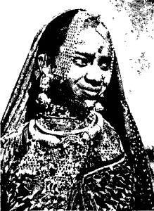 Индия в зеркале веков - i_087.jpg