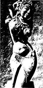 Индия в зеркале веков - i_101.jpg