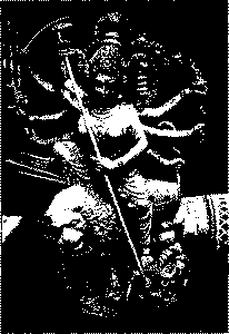 Индия в зеркале веков - i_125.png