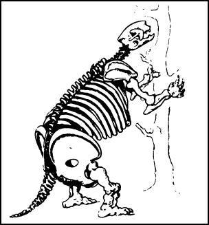 1421 - год, когда Китай открыл мир - i_023.jpg