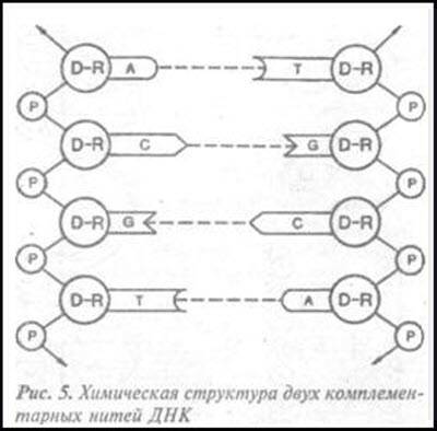 Загадка Фестского диска и змеепоклонники - i_035.jpg