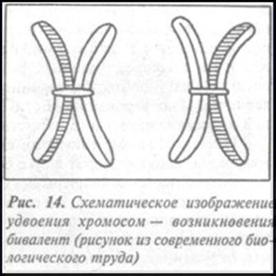 Загадка Фестского диска и змеепоклонники - i_043.jpg