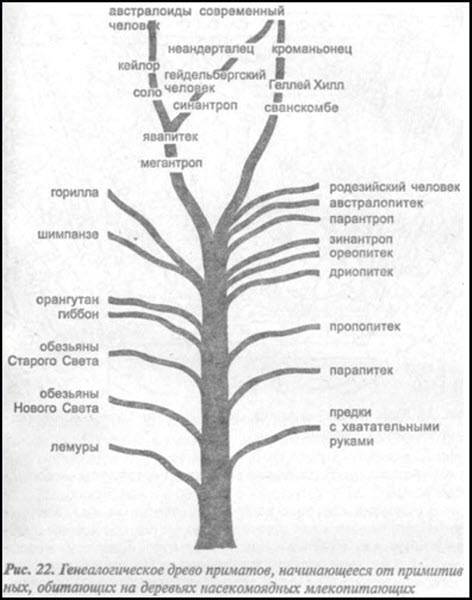 Загадка Фестского диска и змеепоклонники - i_052.jpg