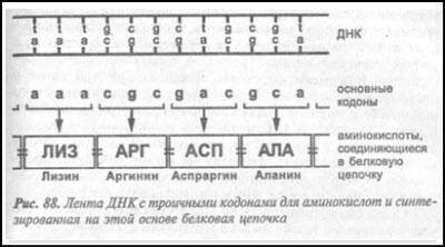 Загадка Фестского диска и змеепоклонники - i_124.jpg