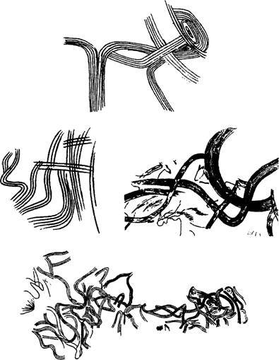 Сверхъестественное. Боги и демоны эволюции - i_147.jpg