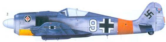 Асы люфтваффе пилоты Fw 190 на Западном фронте - pic_136.jpg