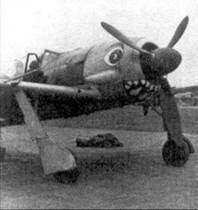 Асы люфтваффе пилоты Fw 190 на Западном фронте - pic_30.jpg