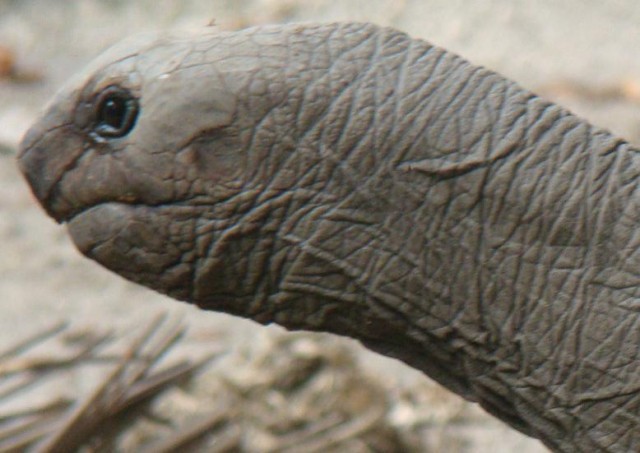 Африканские истории (СИ) - _26.jpg