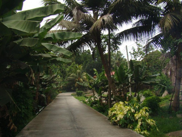 Африканские истории (СИ) - _29.jpg