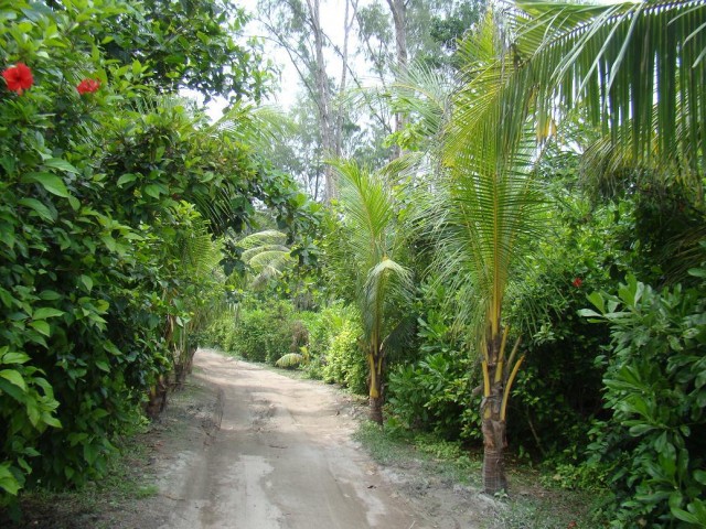 Африканские истории (СИ) - _18.jpg