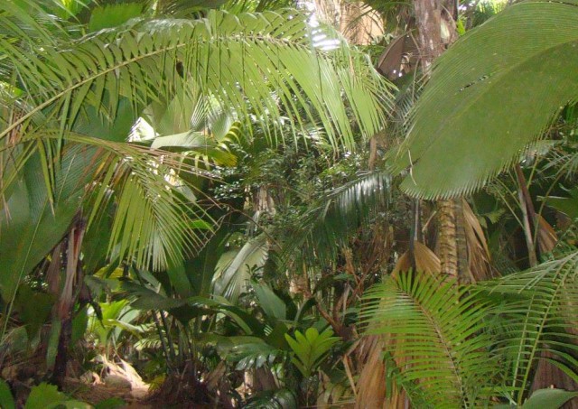 Африканские истории (СИ) - _21.jpg