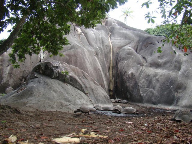 Африканские истории (СИ) - _23.jpg