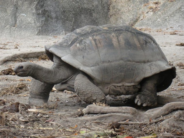 Африканские истории (СИ) - _24.jpg