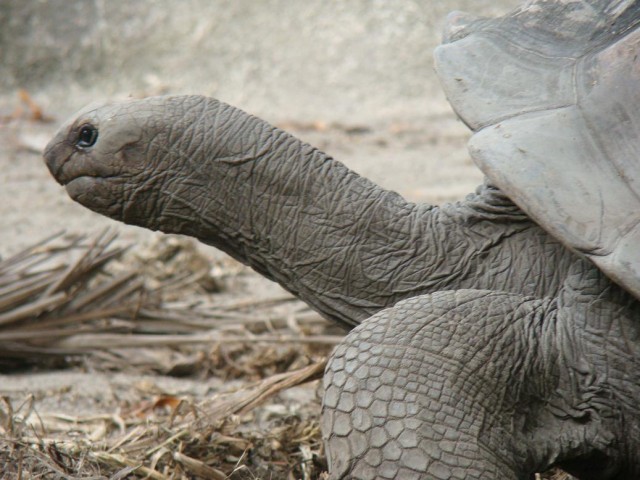 Африканские истории (СИ) - _25.jpg