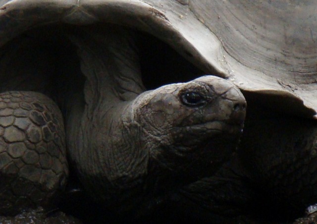 Африканские истории (СИ) - _28.jpg