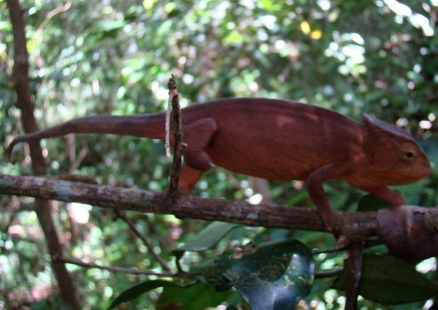 Африканские истории (СИ) - _31.jpg