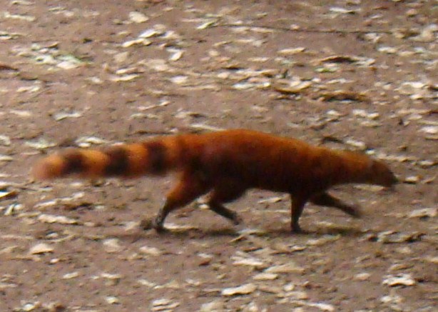 Африканские истории (СИ) - _35.jpg