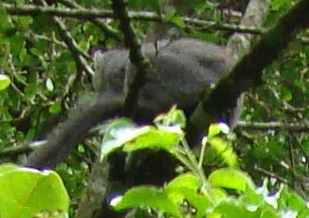 Африканские истории (СИ) - _36.jpg