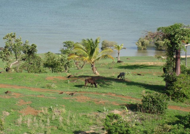 Африканские истории (СИ) - _38.jpg