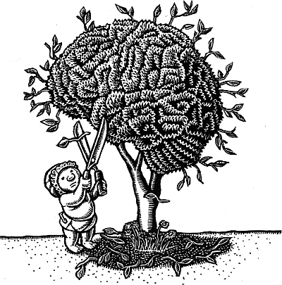Тайны мозга вашего ребенка - _01.png