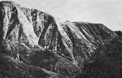 Особая группа НКВД - i_015.jpg