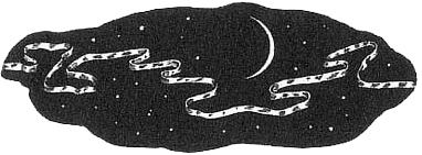 Румо и чудеса в темноте. Книга I - _13_niti_night.png