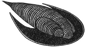 Румо и чудеса в темноте. Книга I - _7_mashina2.png