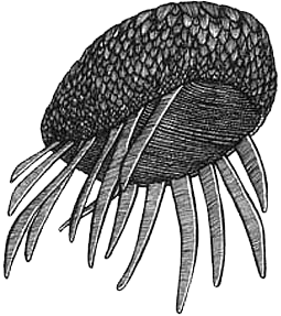 Румо и чудеса в темноте. Книга I - _8_mashina3.png