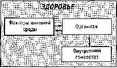 Стиль спецназа. Система боевого выживания - _03.jpg