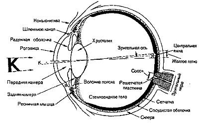 Стиль спецназа. Система боевого выживания - _13.jpg